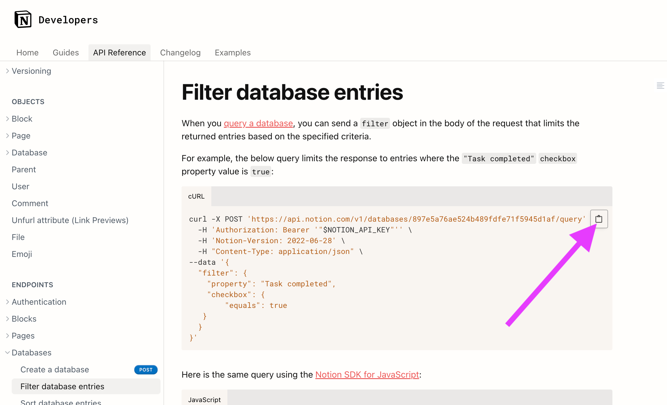 Notion filter database curl command